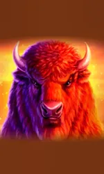 Buffalo 50