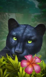 Blue Panther
